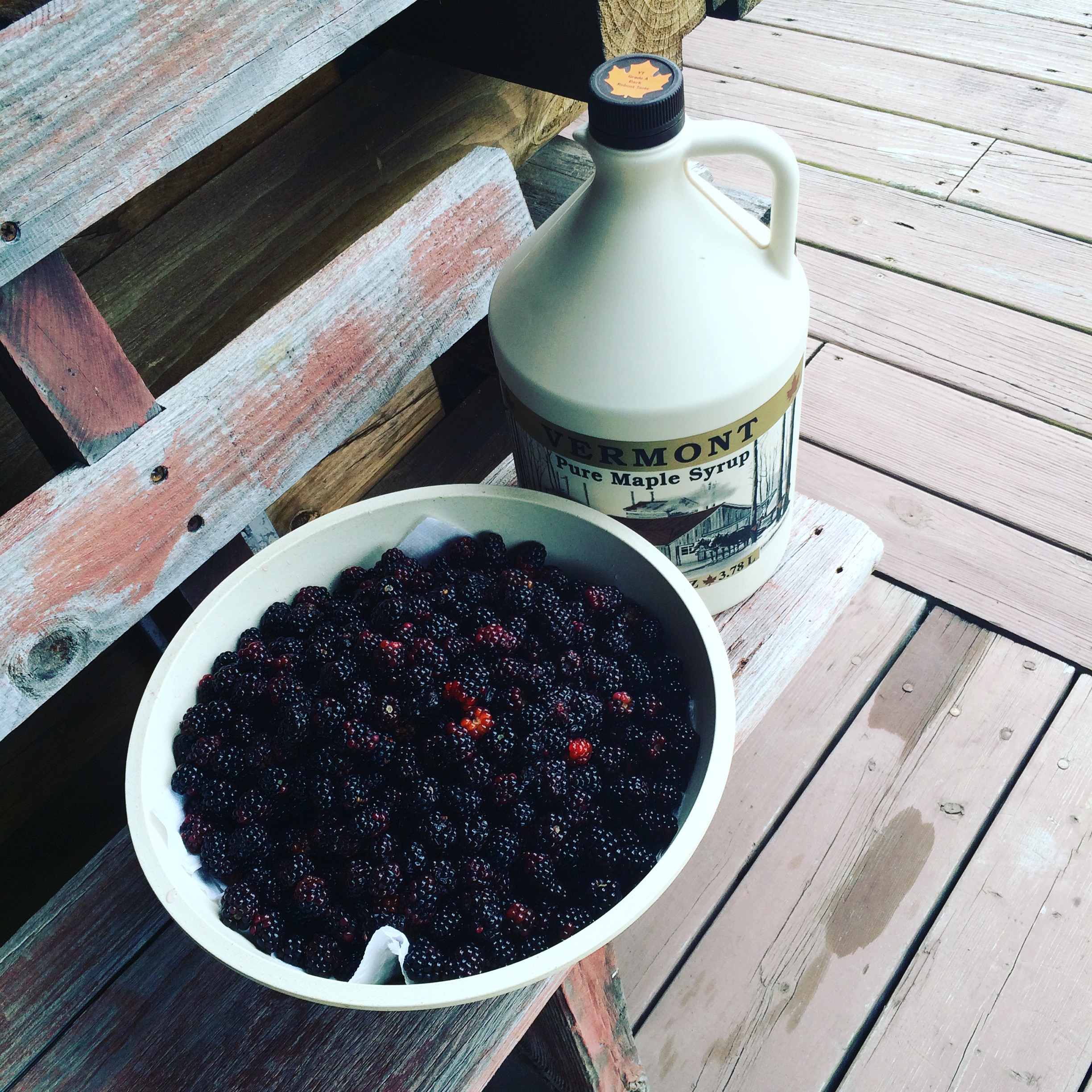 Bartering Diapers for Maple Syrup+Blackberries