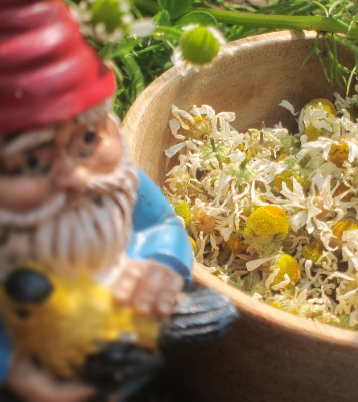 The Quickest, Most Efficient Way to Dry Herbs, Using Only Solar Power