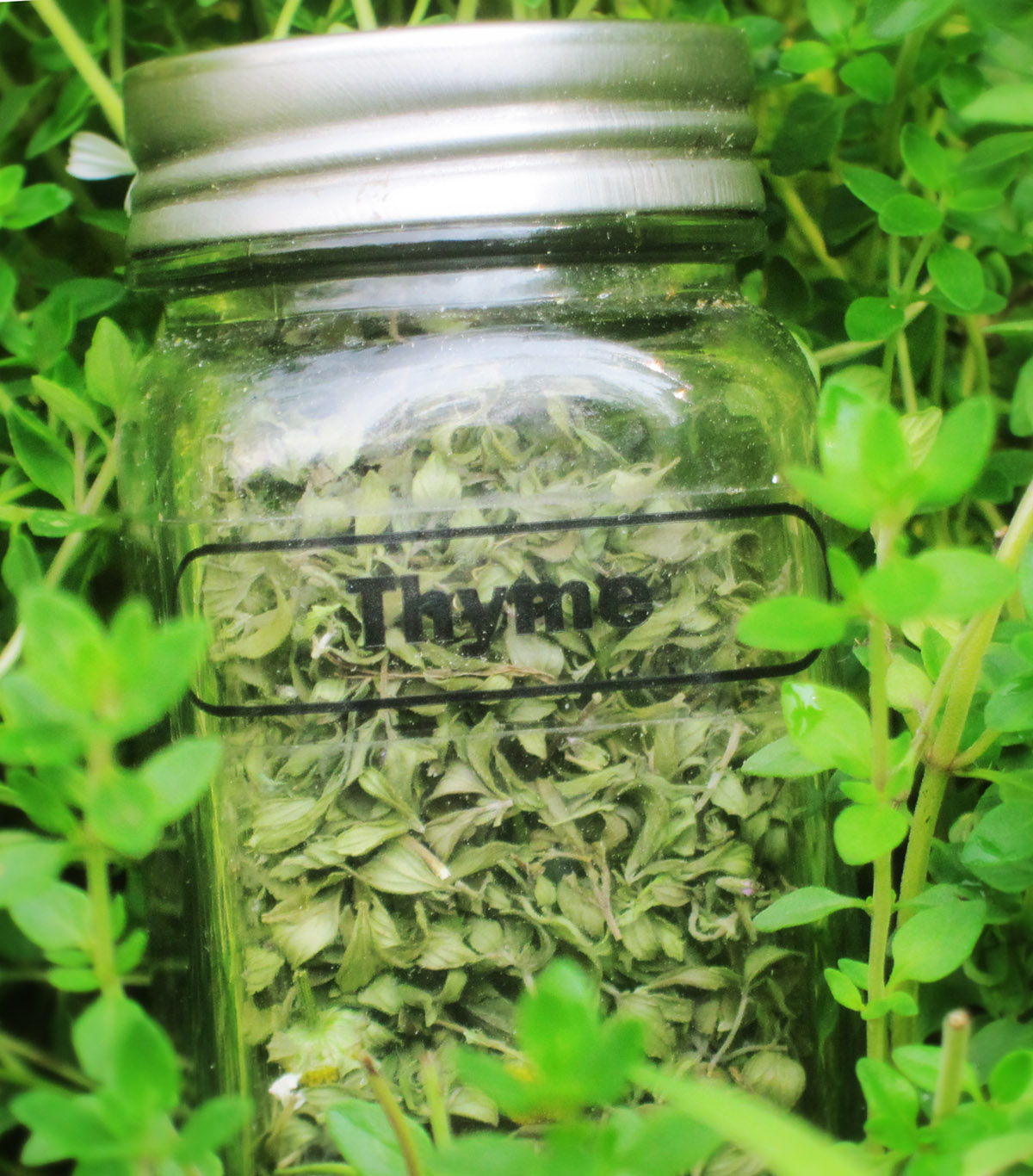 Drying herbs in your car thyme in jar